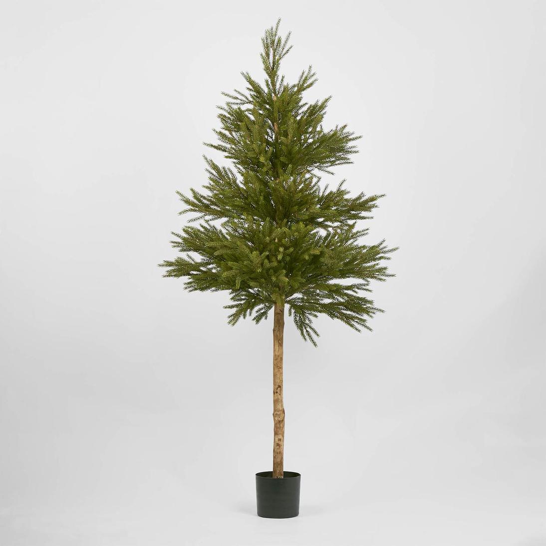Scandi Spruce Tree 180cm – Florabelle Living
