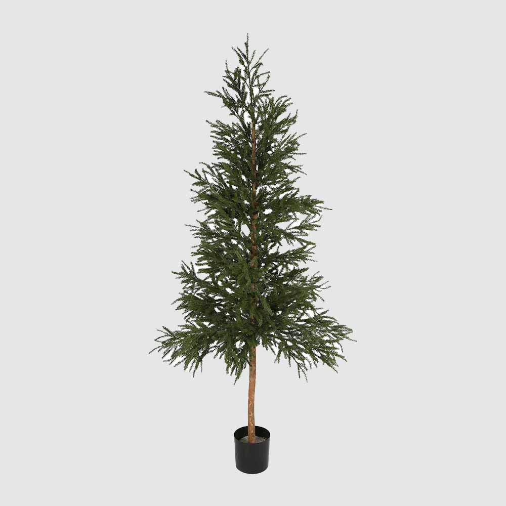 2.2m Picea Christmas Tree With 2035 Leaves