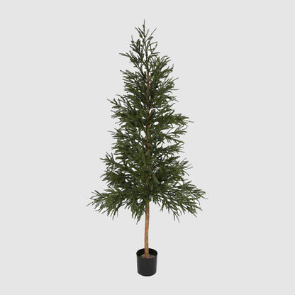 2.2m Picea Christmas Tree With 2035 Leaves