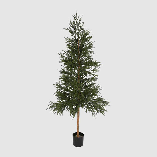 2.2m Picea Christmas Tree With 2035 Leaves