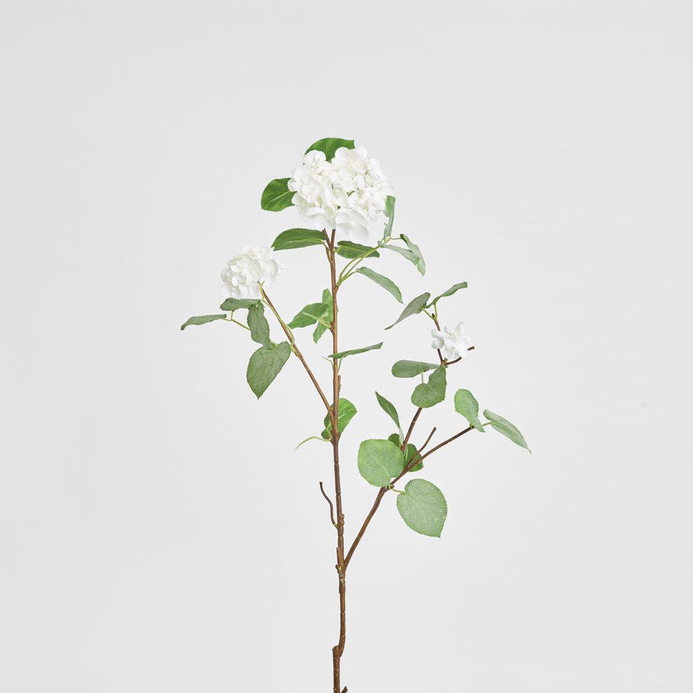 Viburnum Spray 84cm White | Florabelle Living