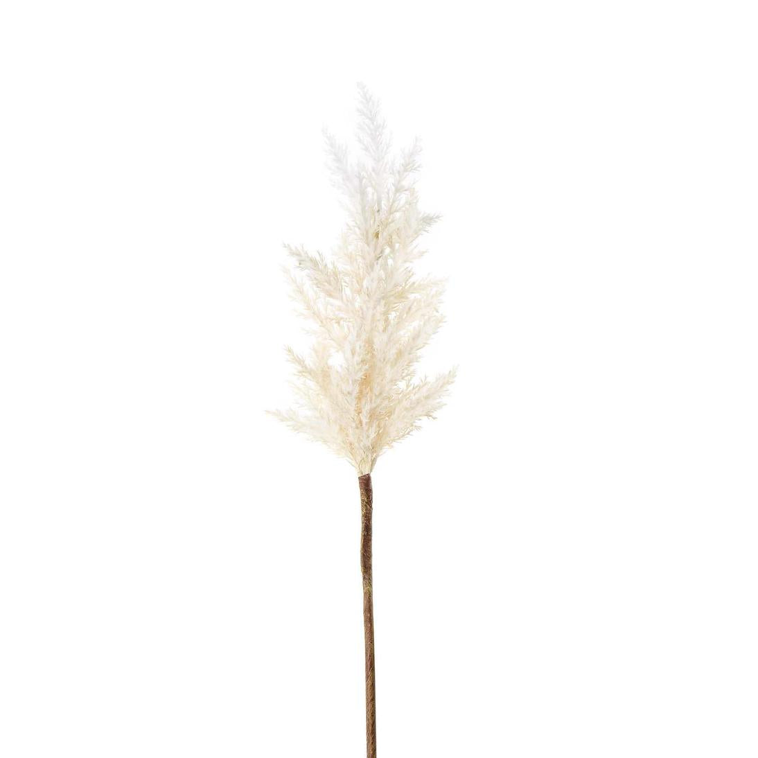 Wheat Astilbe Flower Stem 75cm White