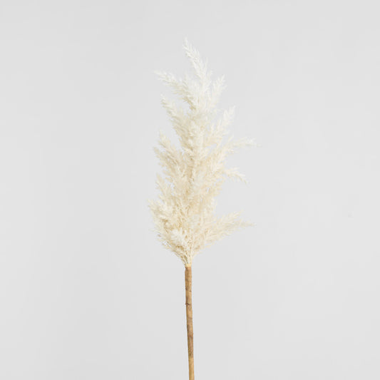 Wheat Astilbe Flower Stem 75cm White