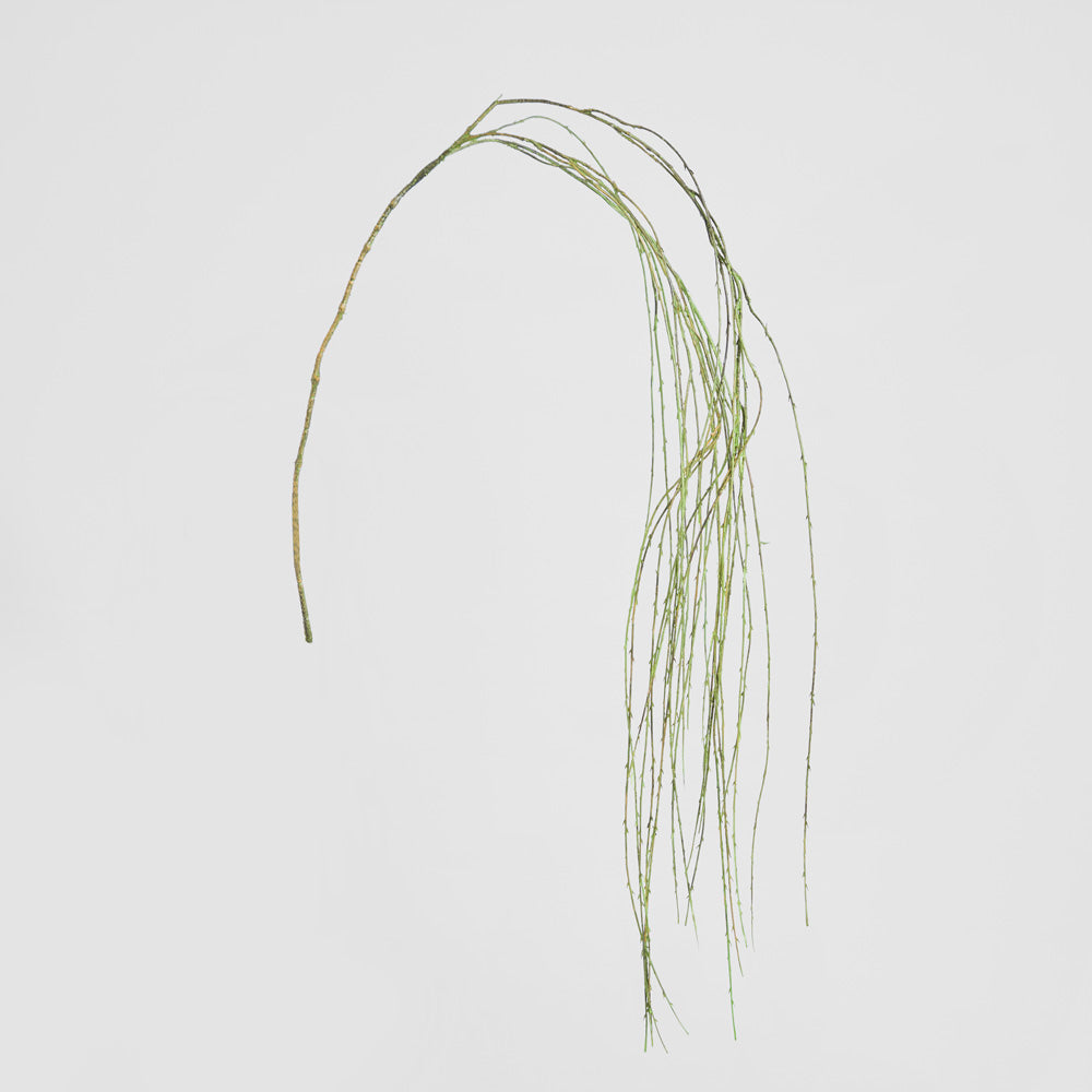 Willow Vine Spray 1.6m Green