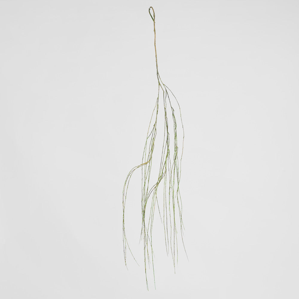 Willow Vine Spray 1.6m Green
