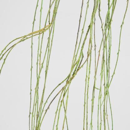 Willow Vine Spray 1.6m Green