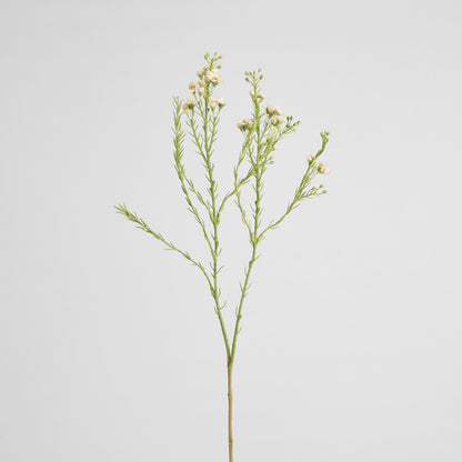 Wax Flower Spray 84cm White