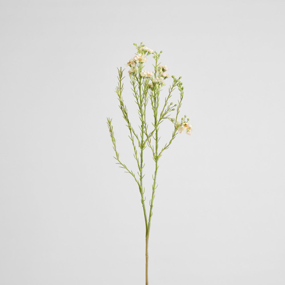Wax Flower Spray 84cm White