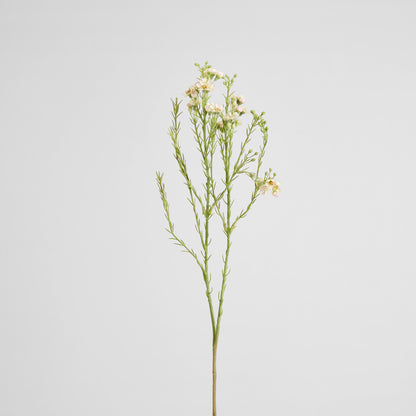 Wax Flower Spray 84cm White