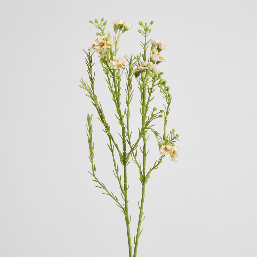 Wax Flower Spray 84cm White