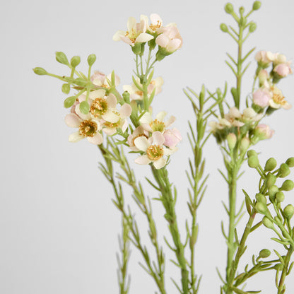 Wax Flower Spray 84cm White