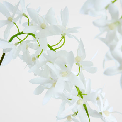 Trailing Wisteria 118cm White