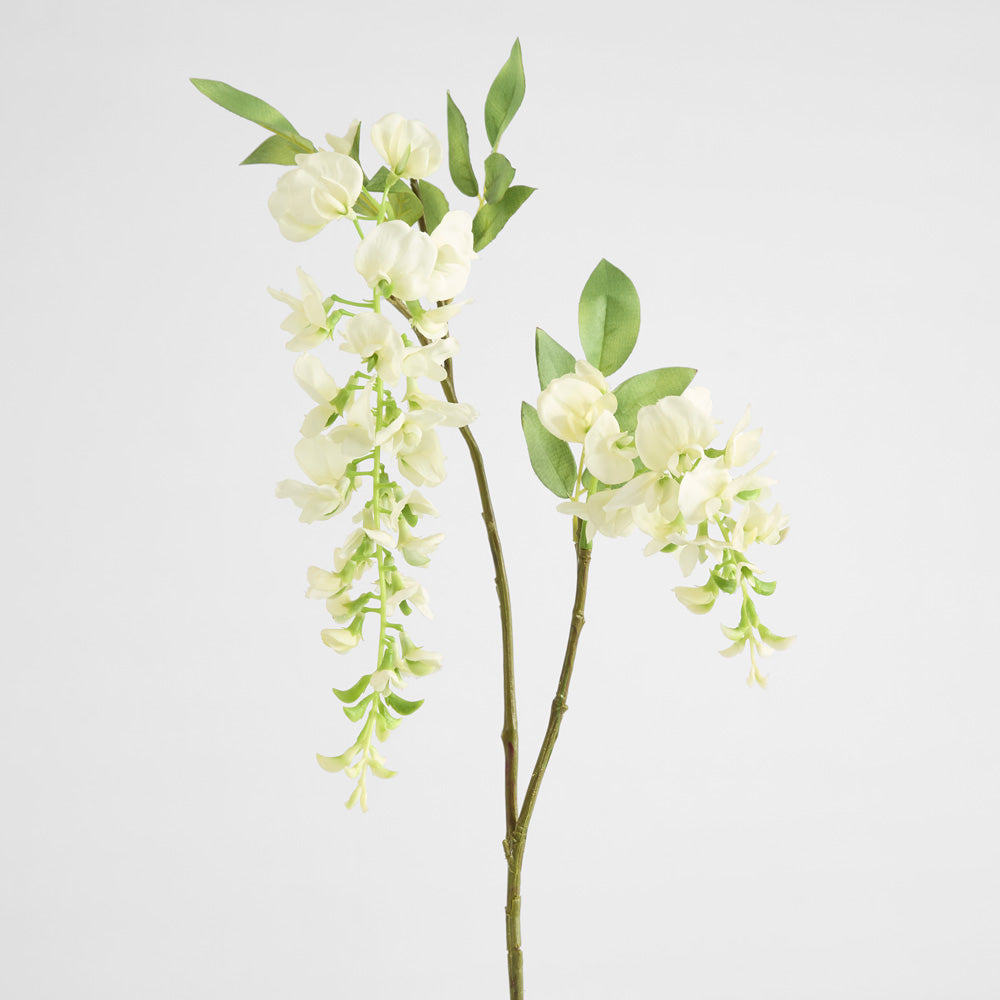 Wisteria Spray 1m White