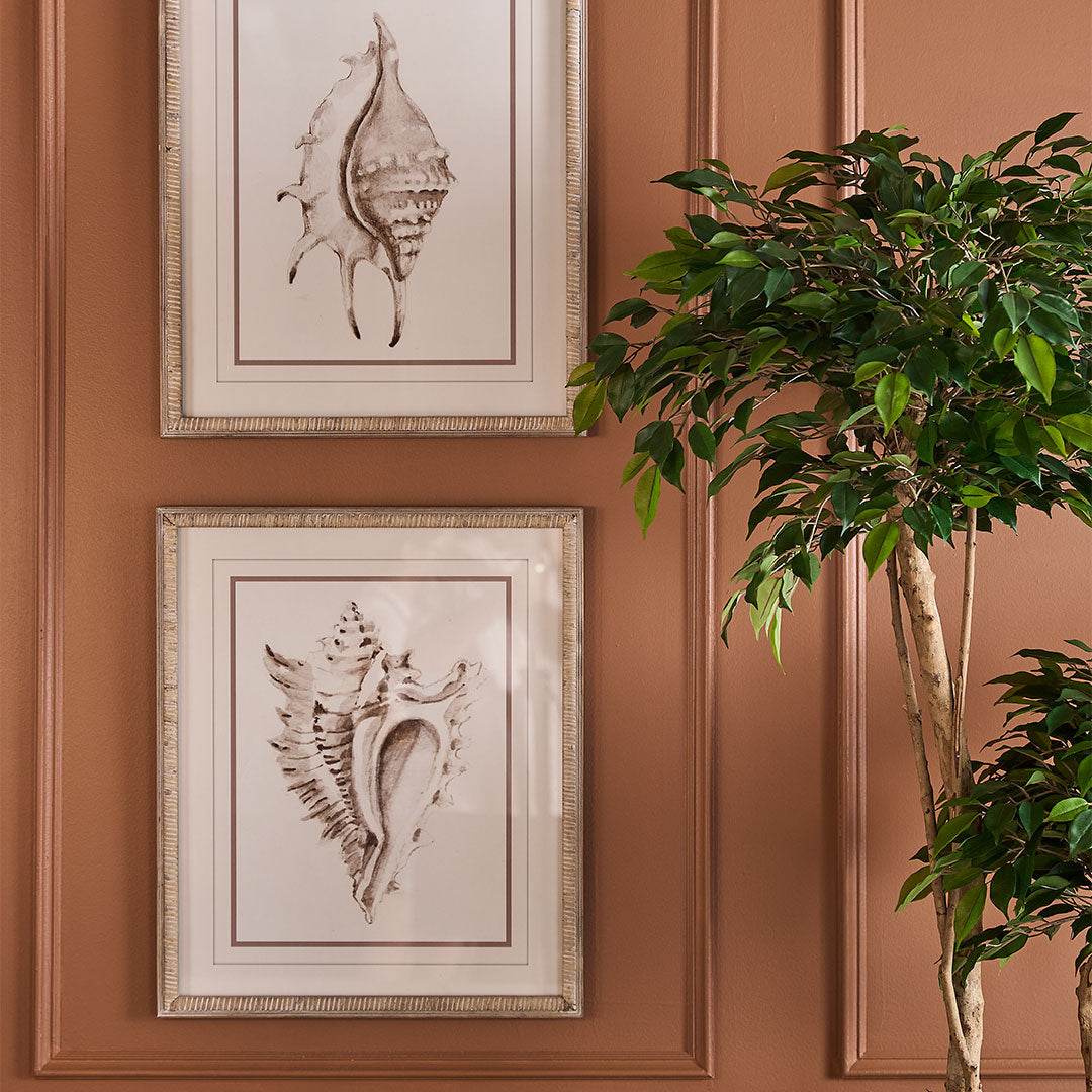 Conch Shell Wall Art A