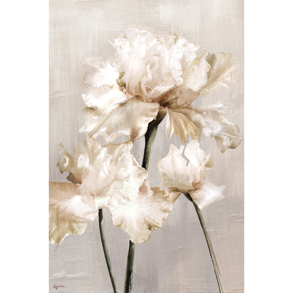 Floral Stem Wall Art B