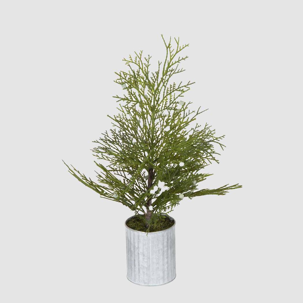 Potted Pine Tree in Tin Small