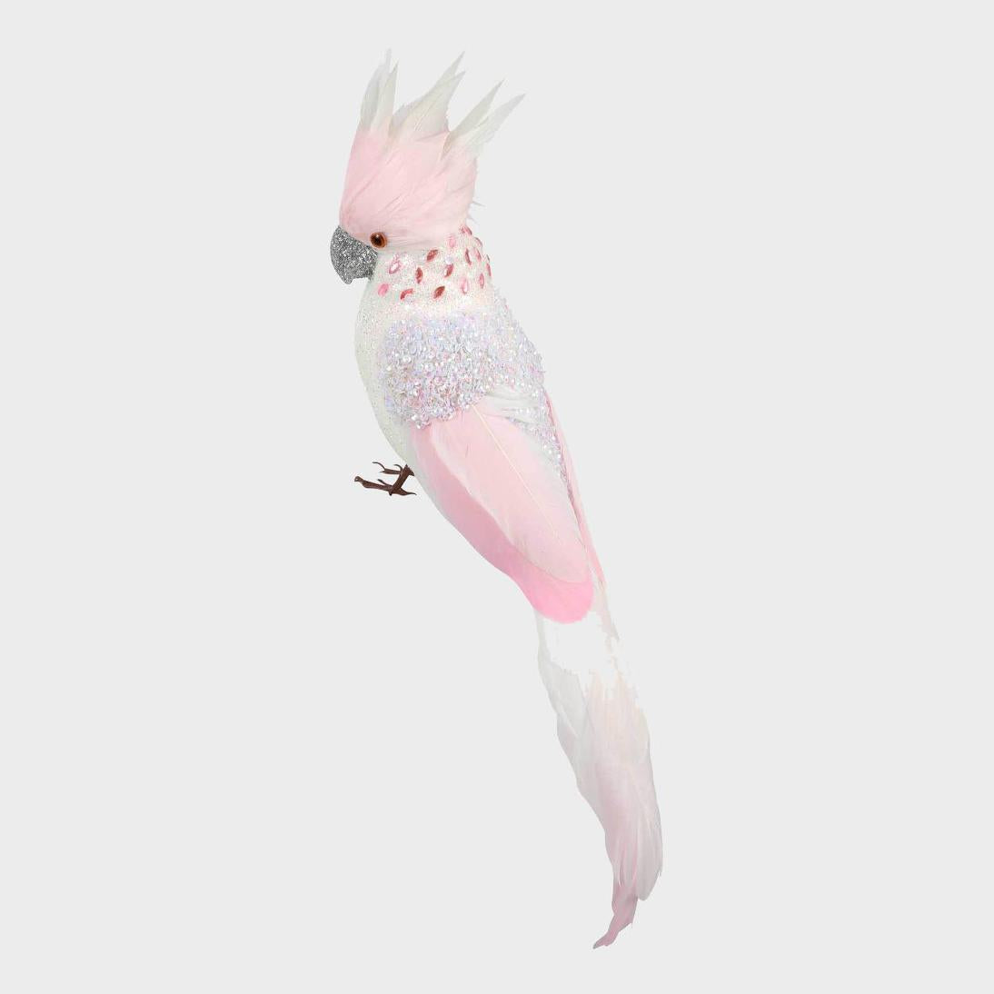 Candyfloss Pink Parrot