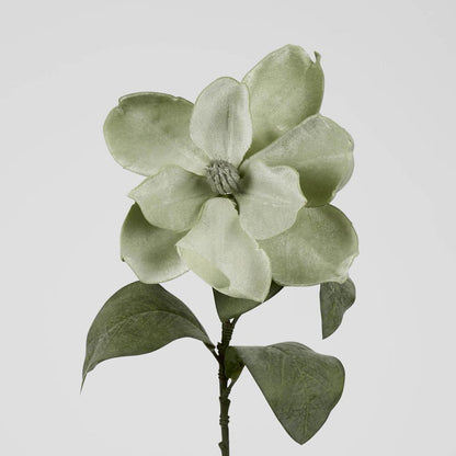 Grandiflora Velvet Magnolia Stem Green