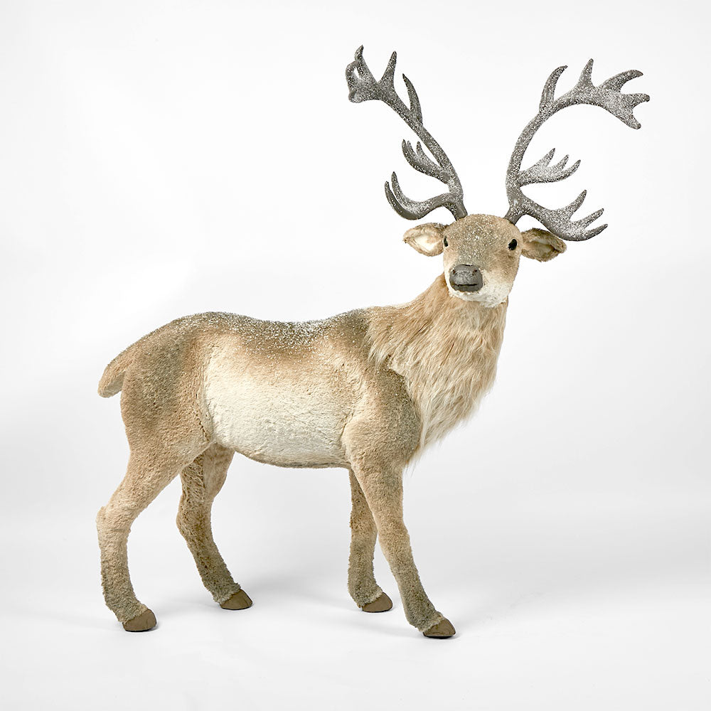 King Elk Standing