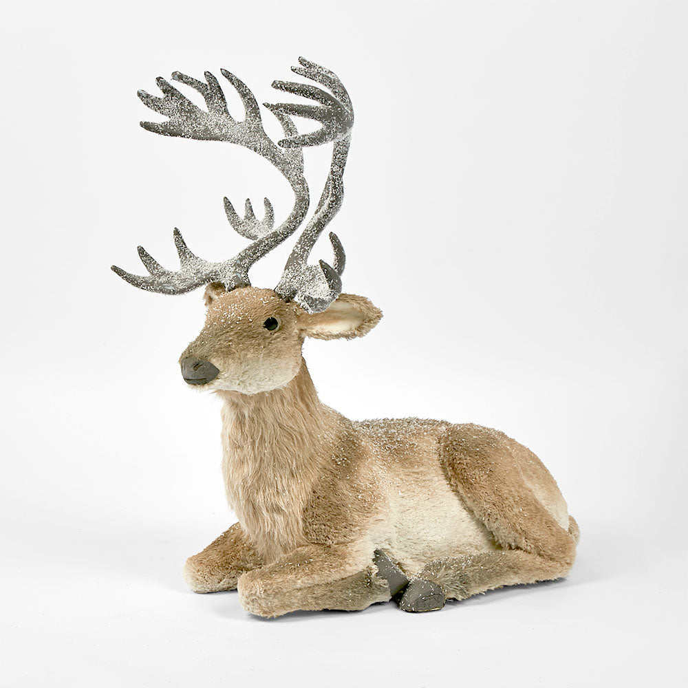 King Elk Lying