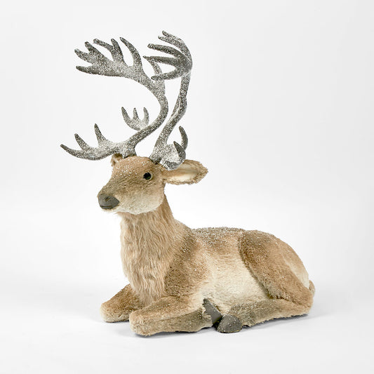 King Elk Lying