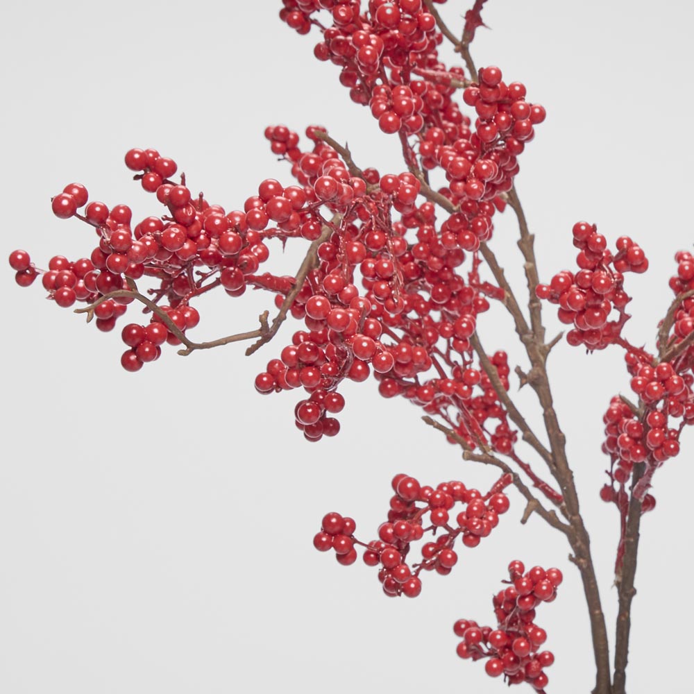 Berry Cluster Stem Red