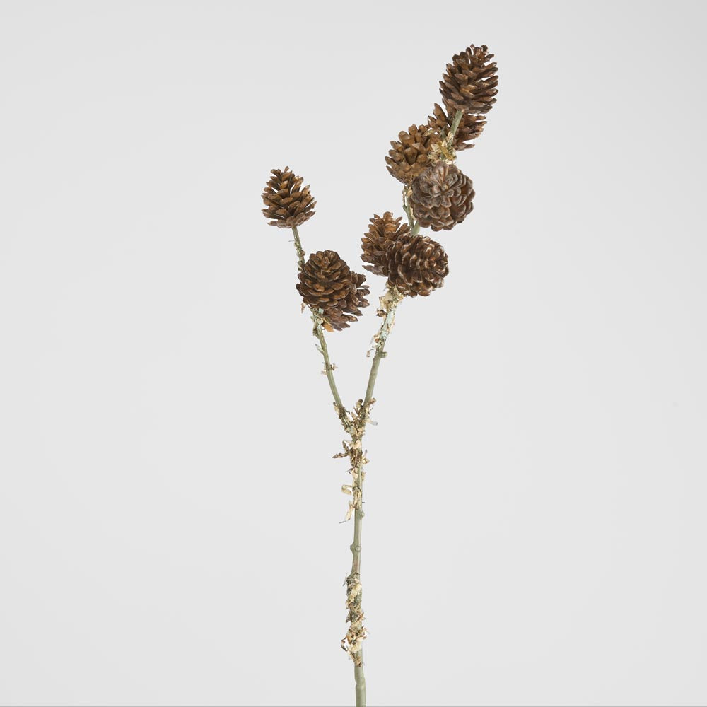 Pine Cone Stem