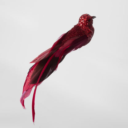 Calypso Clip on Bird Set of 3 Red