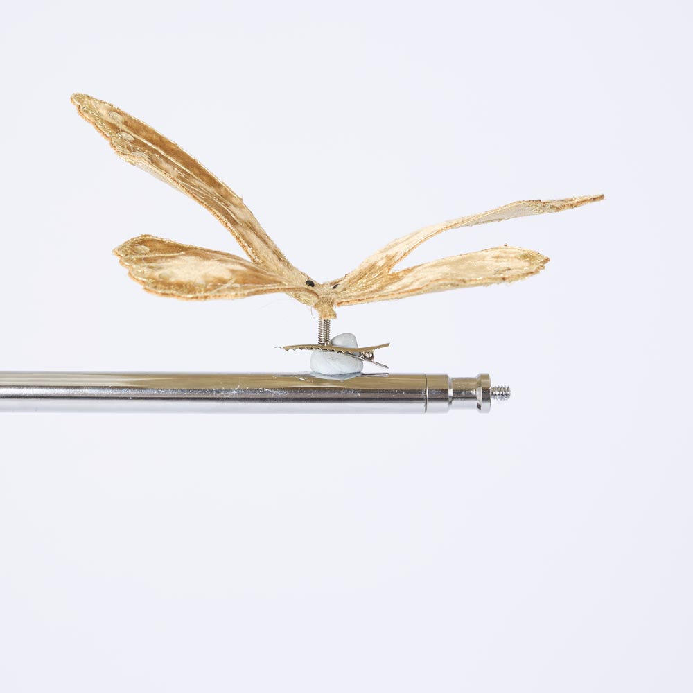 Opulence Velvet Butterfly Clip On