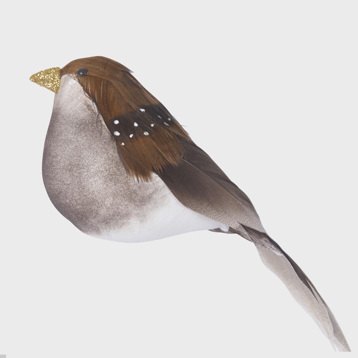 Country Clip on Brown Bird