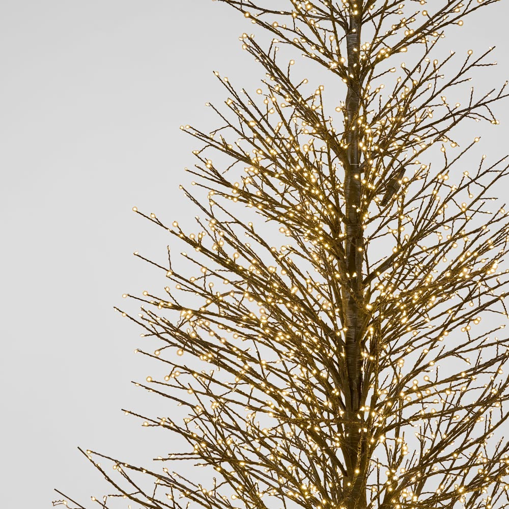 Giant Black Forest Tree 240cm with 4060 LED
