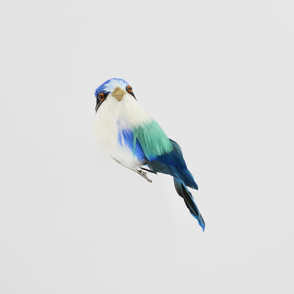 Little Kingfisher