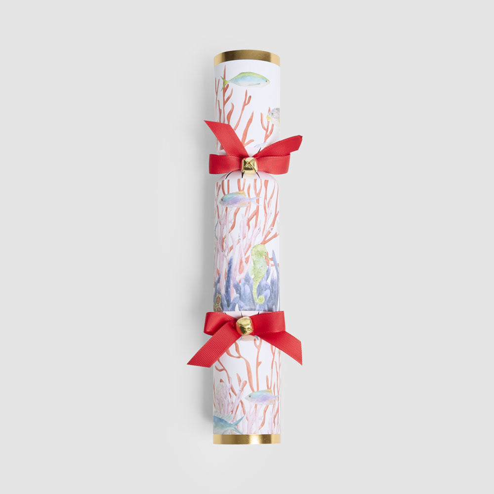 Coral Mystery Crackers – Box of 6