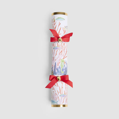 Coral Mystery Crackers – Box of 6