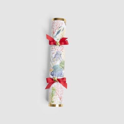 Coral Mystery Crackers – Box of 6