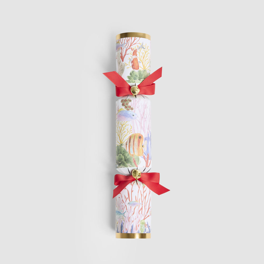 Coral Mystery Crackers – Box of 6