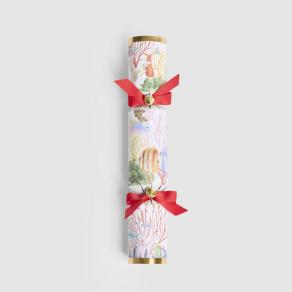 Coral Mystery Crackers – Box of 6