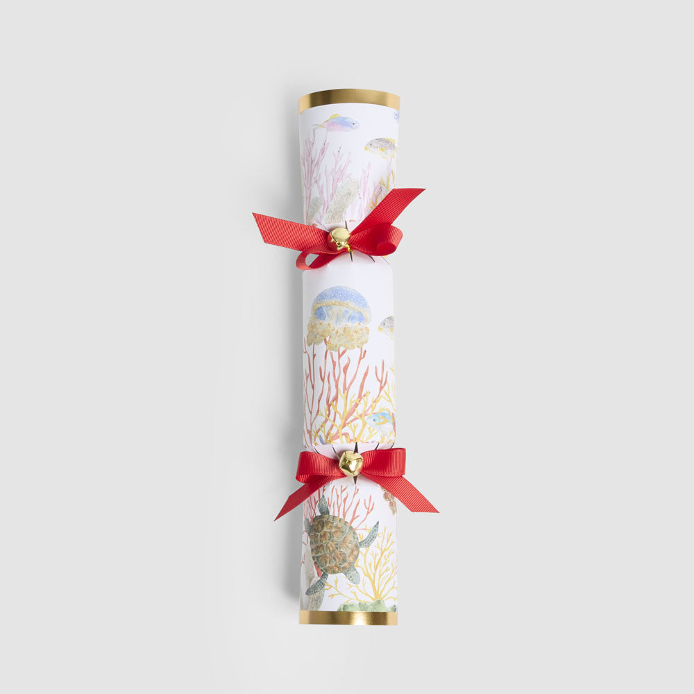 Coral Mystery Crackers – Box of 6