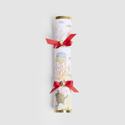 Coral Mystery Crackers – Box of 6