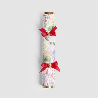 Coral Mystery Crackers – Box of 6