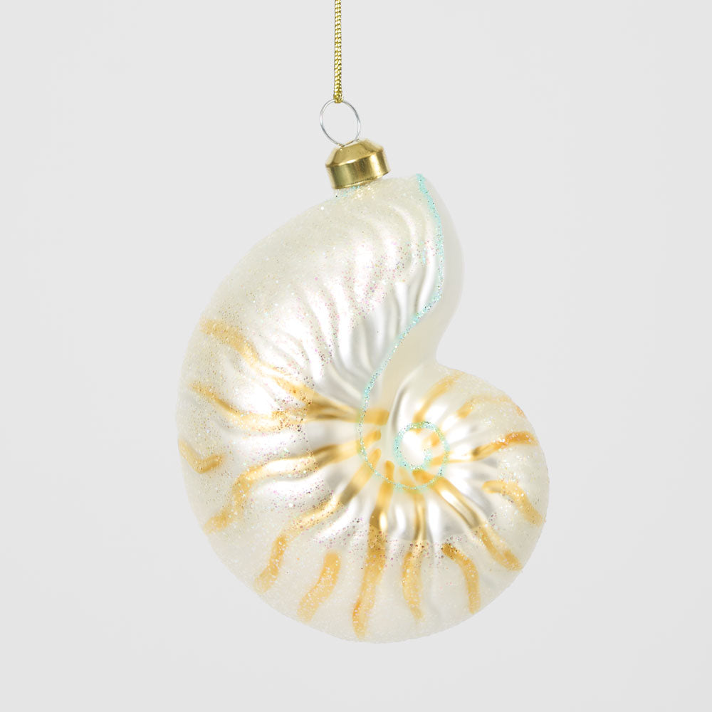 Conch Shell Decoration