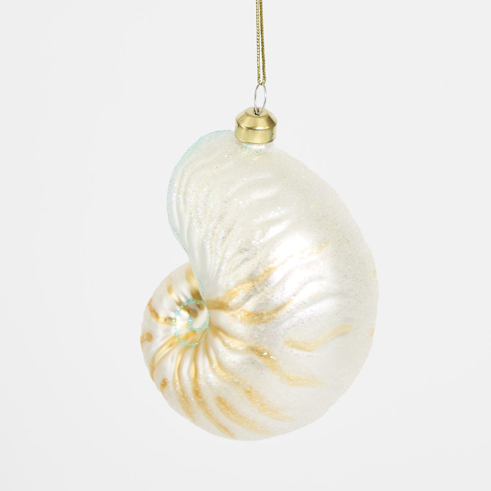 Conch Shell Decoration