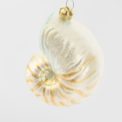Conch Shell Decoration
