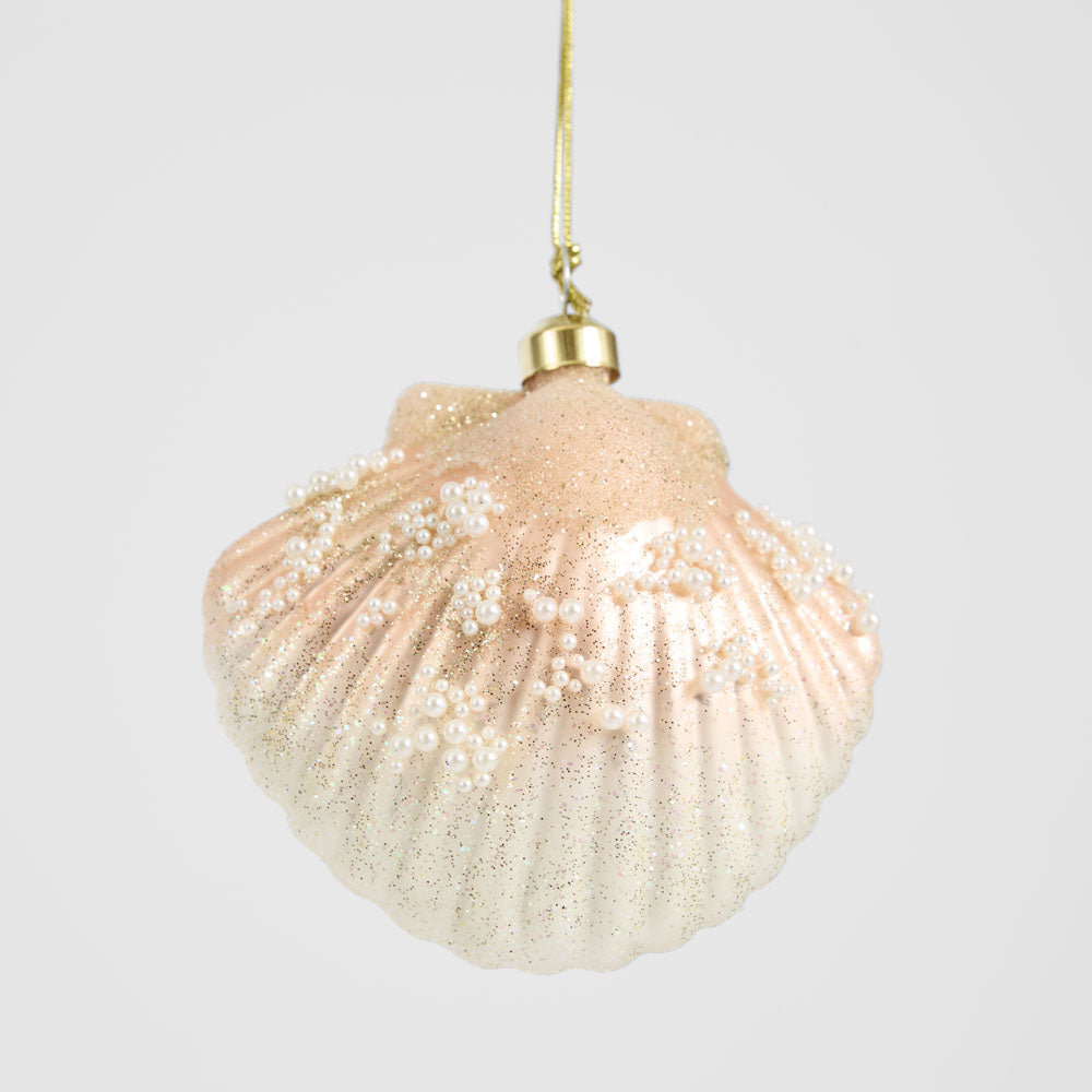 Scallop Shell Decoration