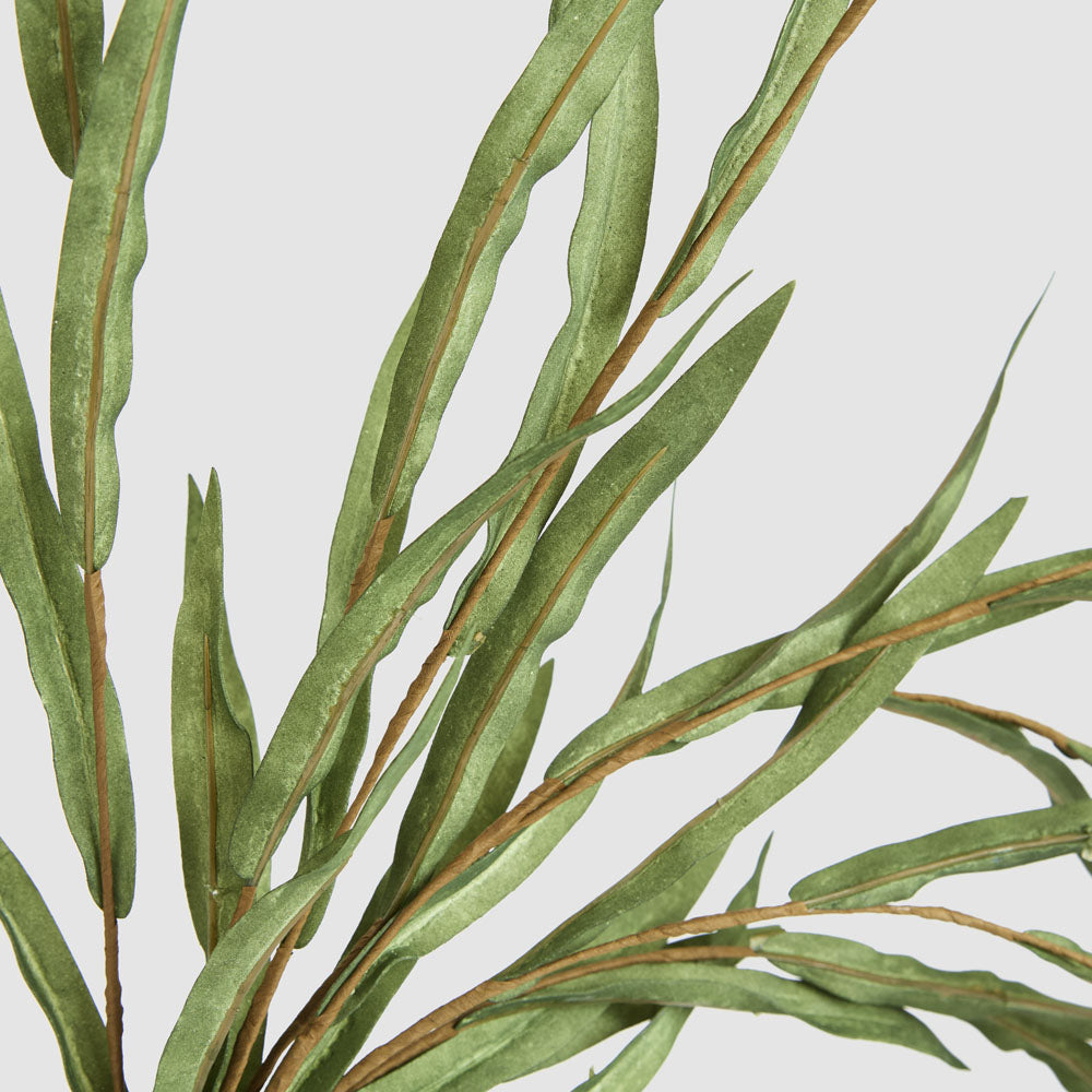 Hanging Willow Stem Green