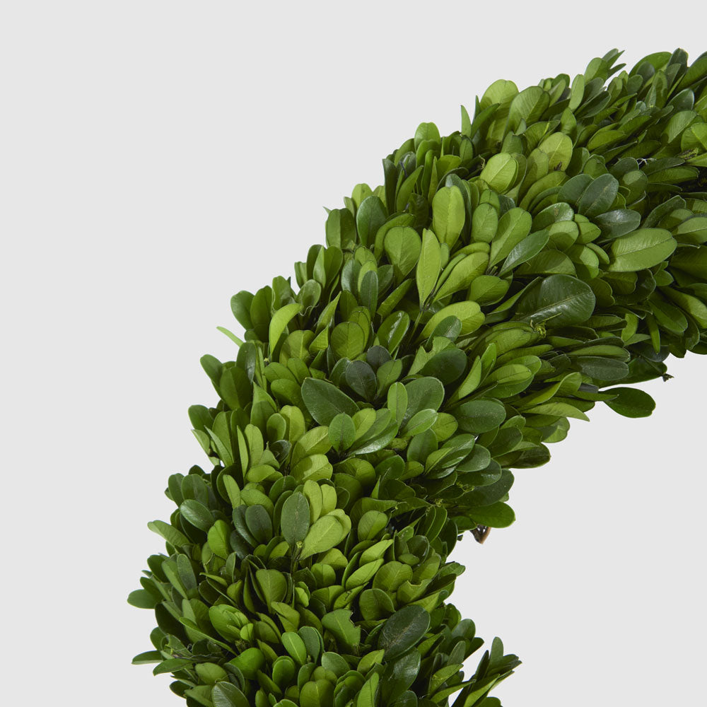 Preserved Boxwood Wreath 35cm