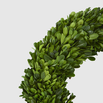 Preserved Boxwood Wreath 35cm