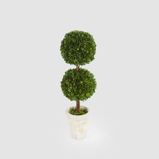 Preserved Boxwood Double Ball Topiary