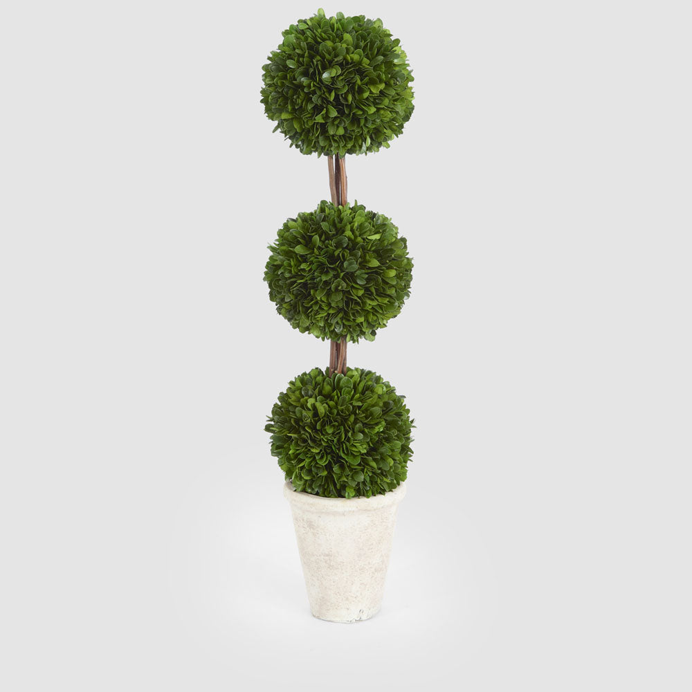 Preserved Boxwood Triple Ball Topiary – Florabelle Living
