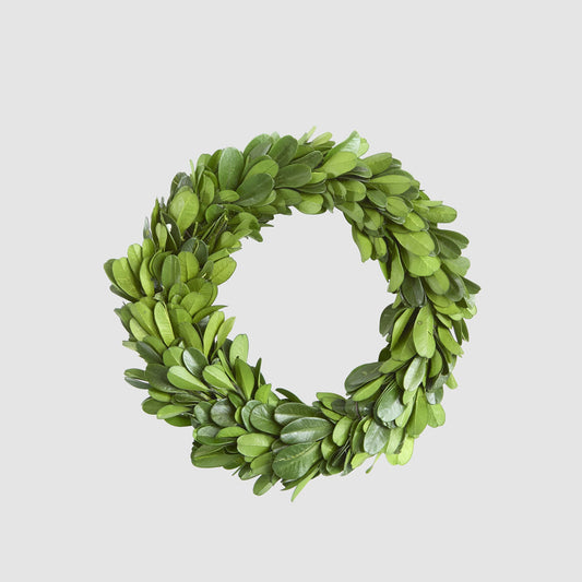 Preserved Boxwood Mini Wreath